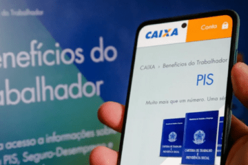 Consultar PIS – Saiba Como Verificar seu Saldo e Situação Cadastral