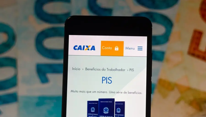 Consultar PIS – Saiba Como Verificar seu Saldo e Situação Cadastral